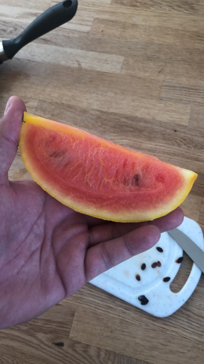 008D3DE2-B125-42D3-BD0C-AD68B9C17FE5.jpeg