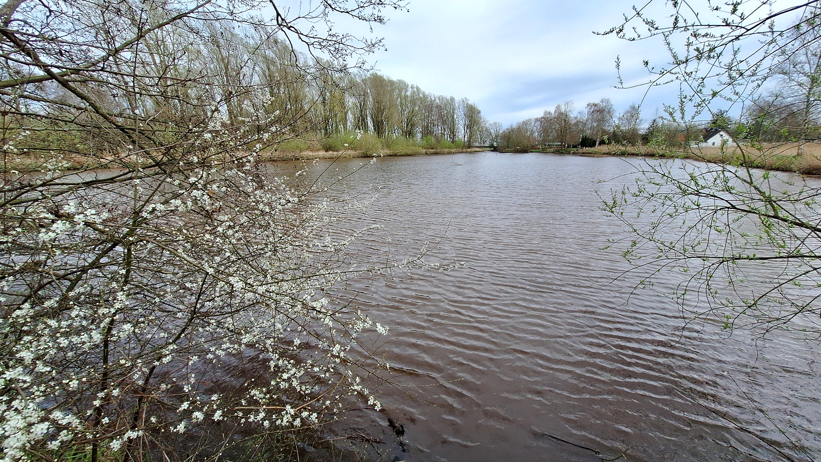 010-Aschwardener_Flutgraben.jpg