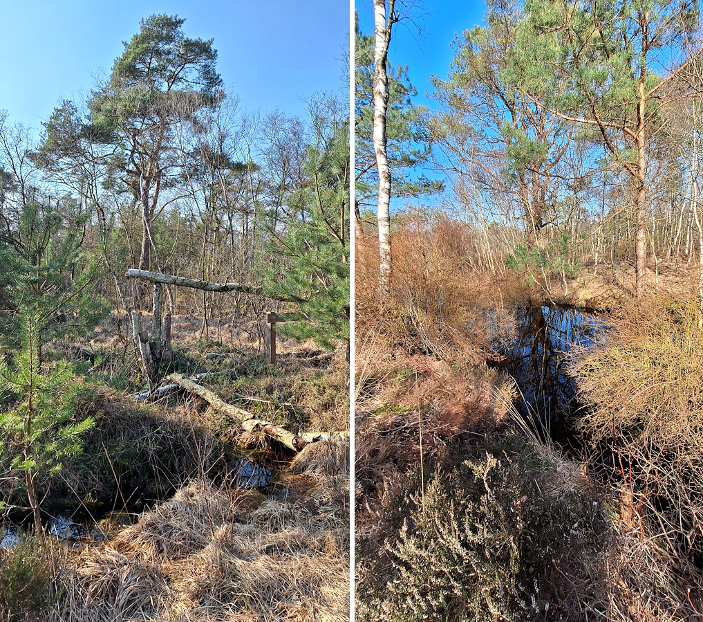014-Hauptweg_Mitte_links_rechts-Duo.jpg