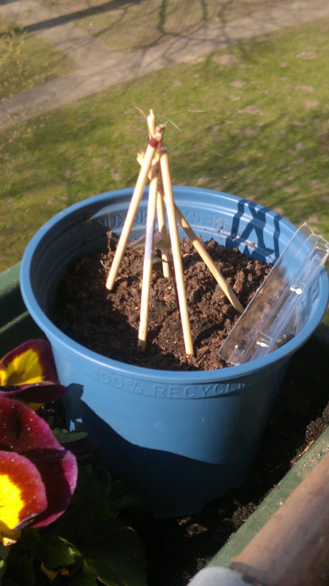 03042020301.jpg