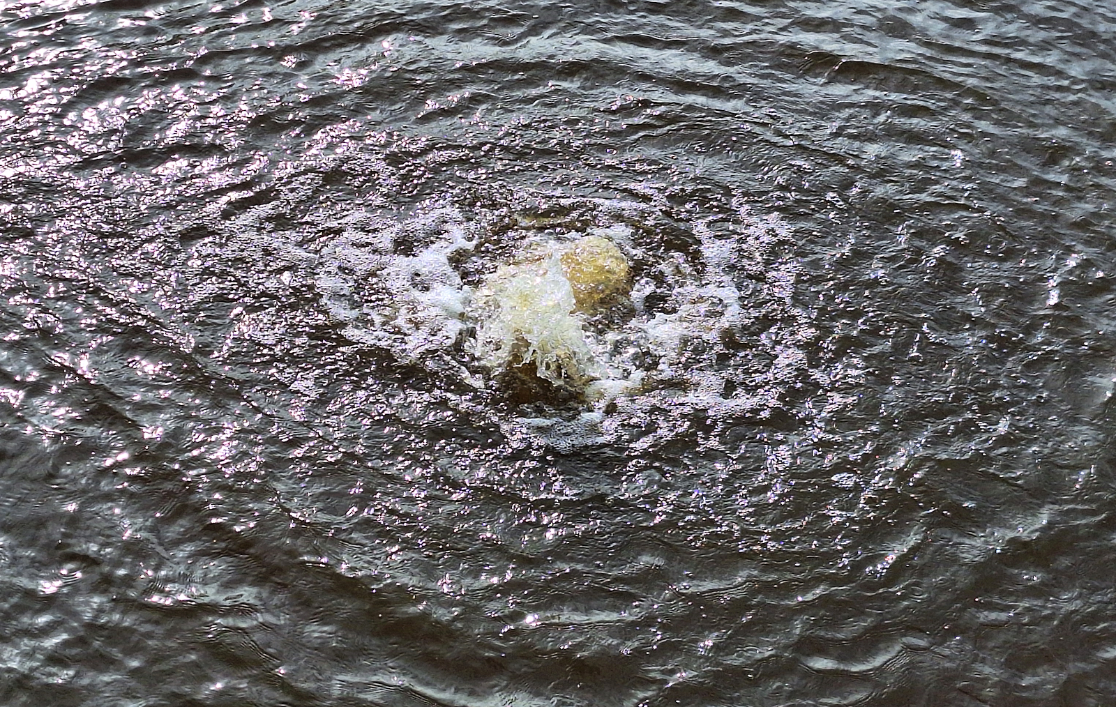 033-Indiekkanal.jpg