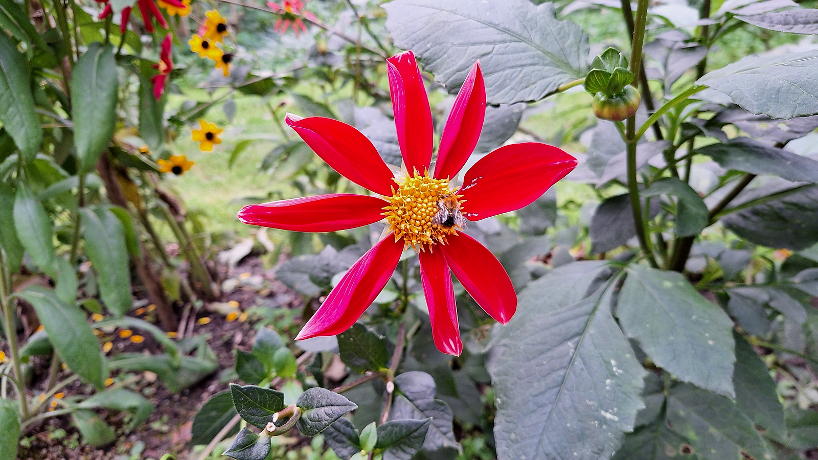 052_Arboretum-NK_fleissig_fleissig.jpg