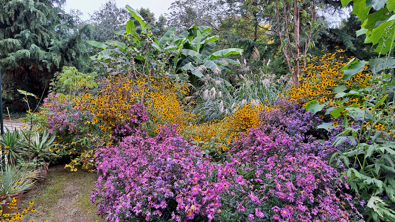 061_Arboretum-NK_Farbexplosion.jpg