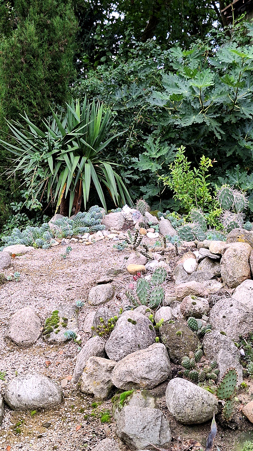 065A_Arboretum-NK_Kakteen.jpg