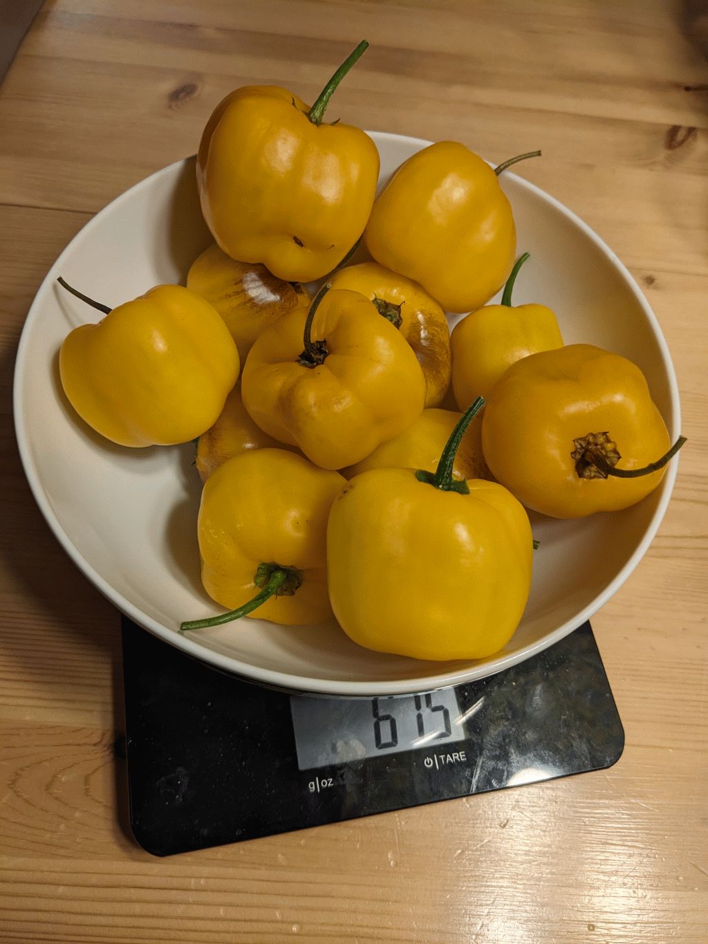 069 - Gelbe Riesen Ernte.jpg
