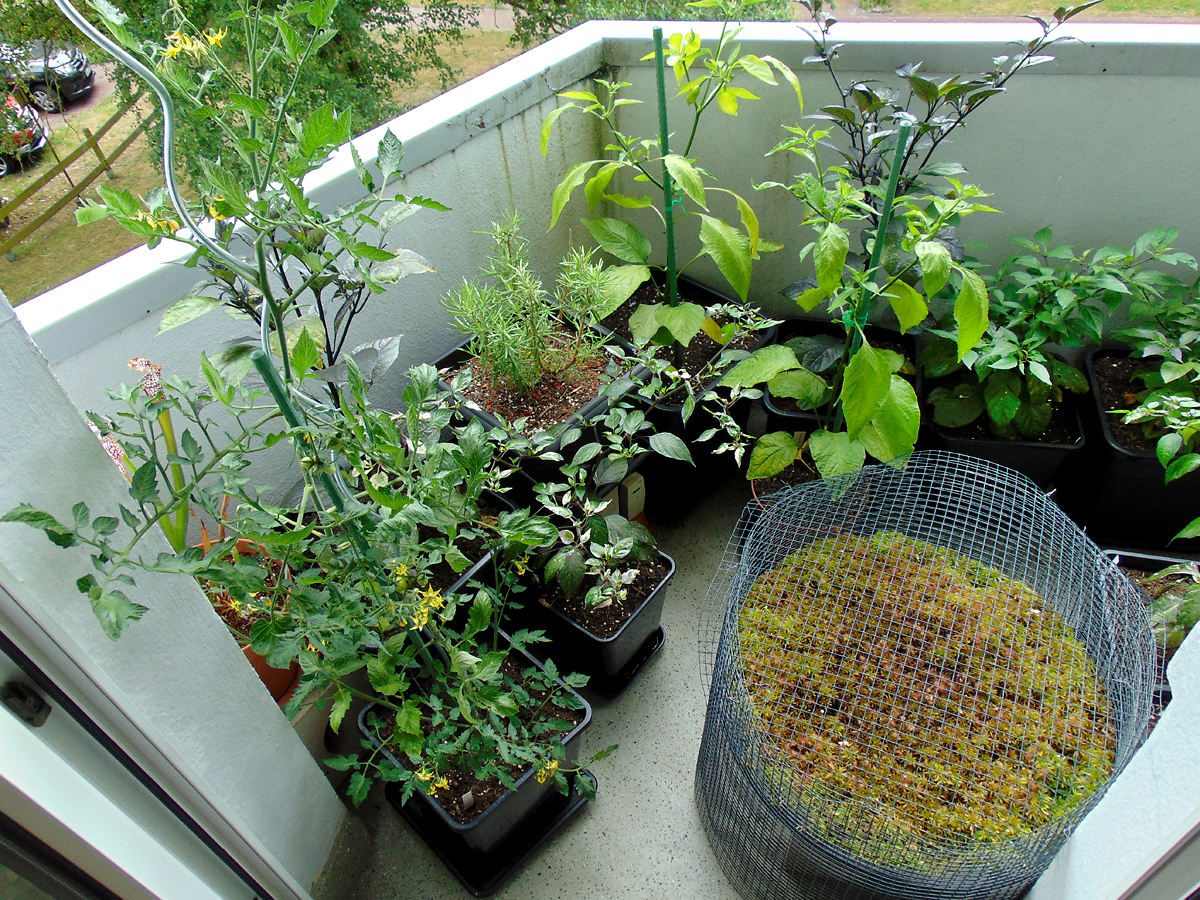 06_2022-balcony-left.jpg