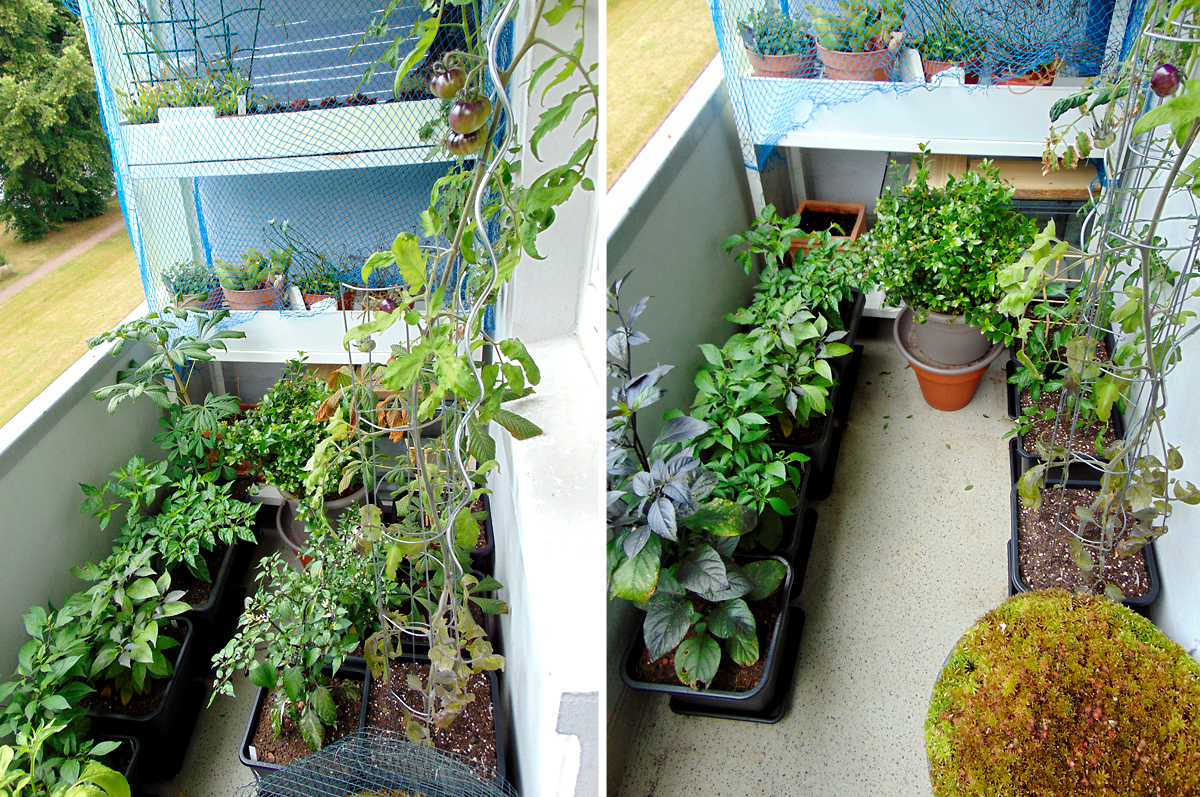 06_2022-balcony-right.jpg