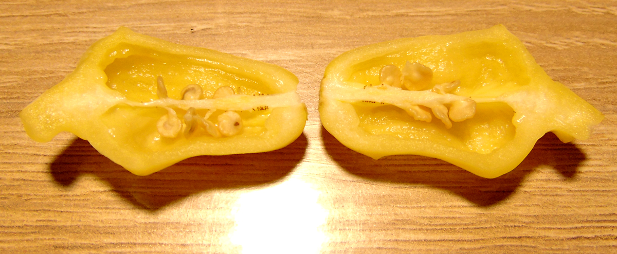 07082022_DL-fruit-halves-2.jpg
