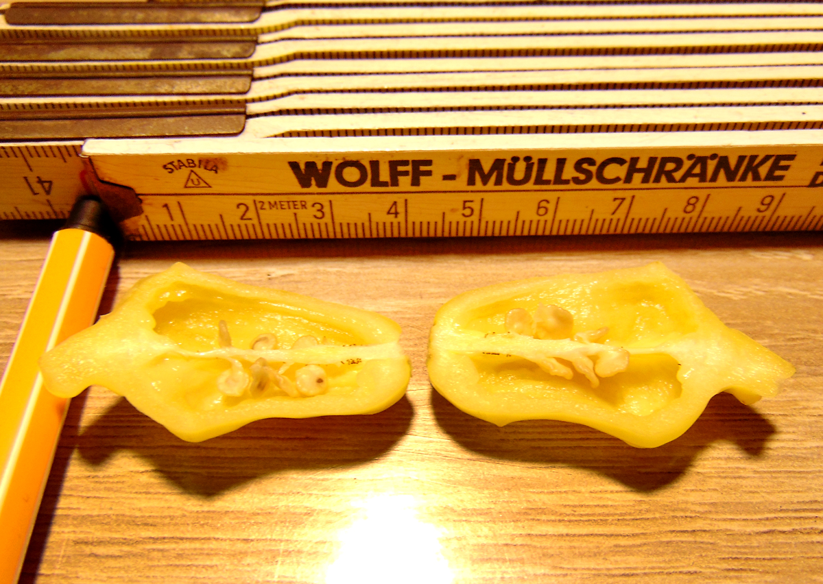 07082022_DL-fruit-halves.jpg