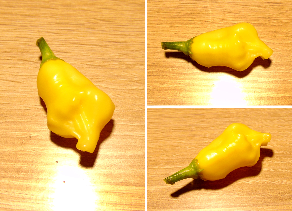 07082022_DL-fruit-tasting.jpg