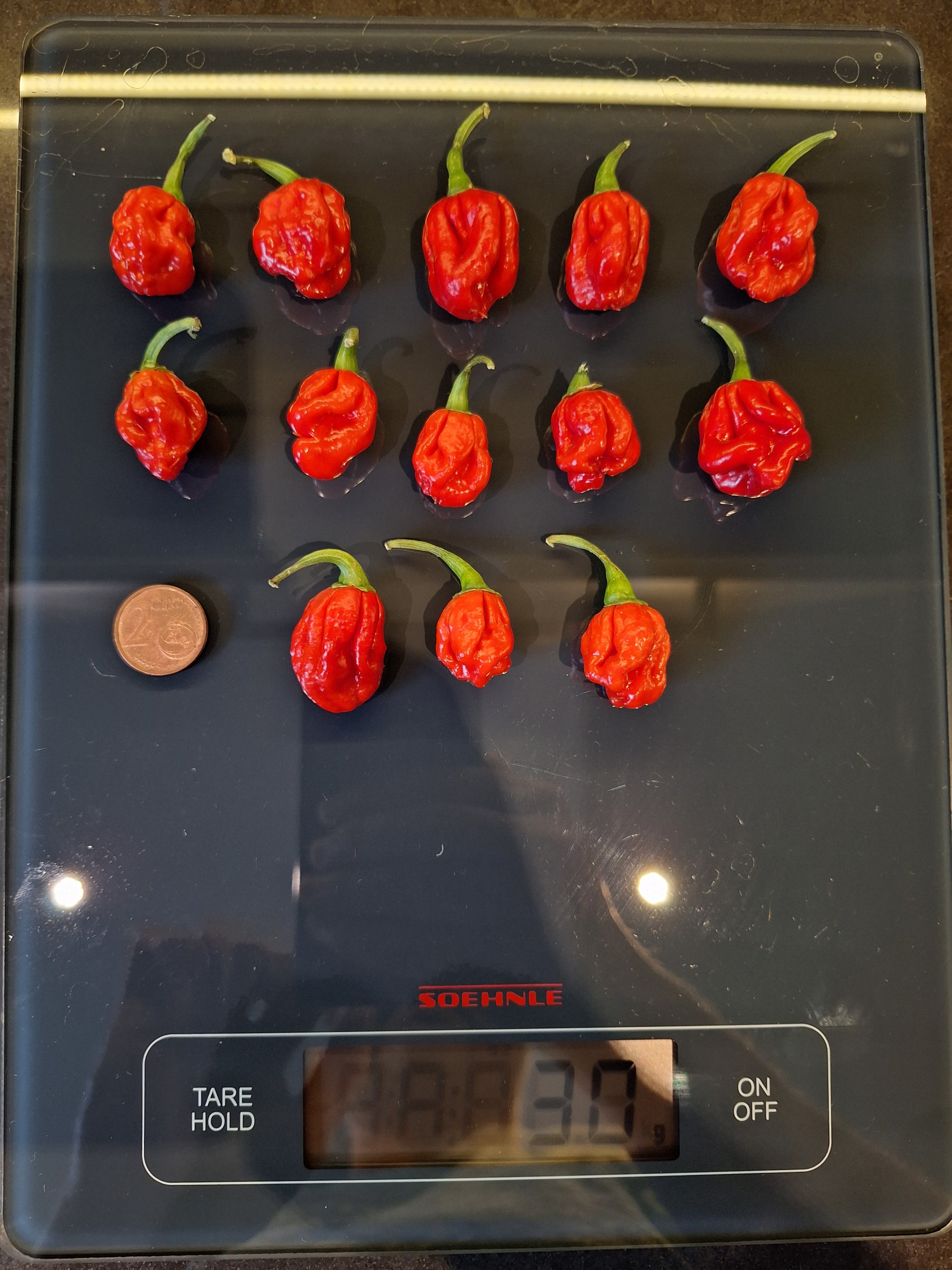 1000032410.jpg