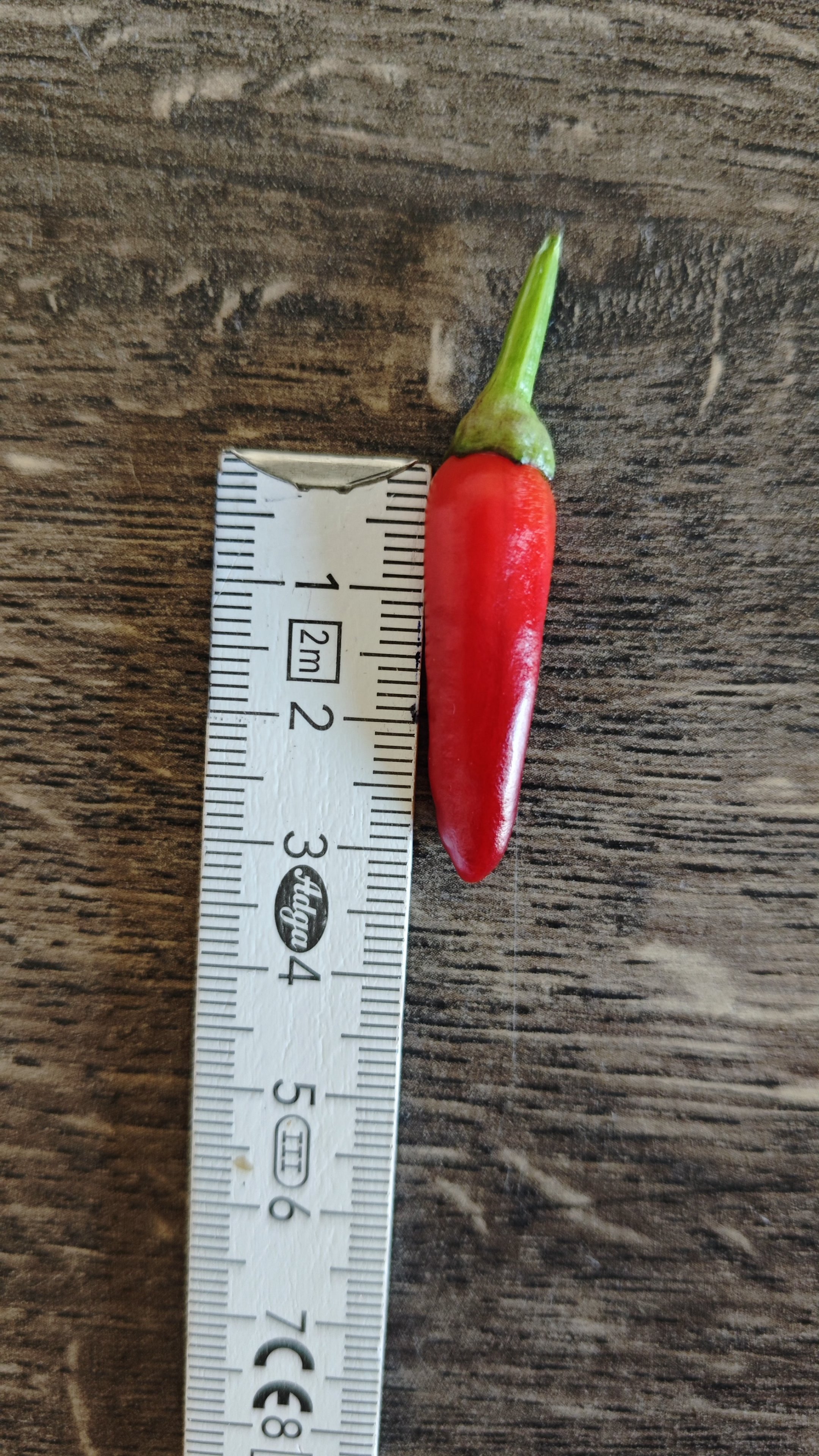 1000093580.jpg