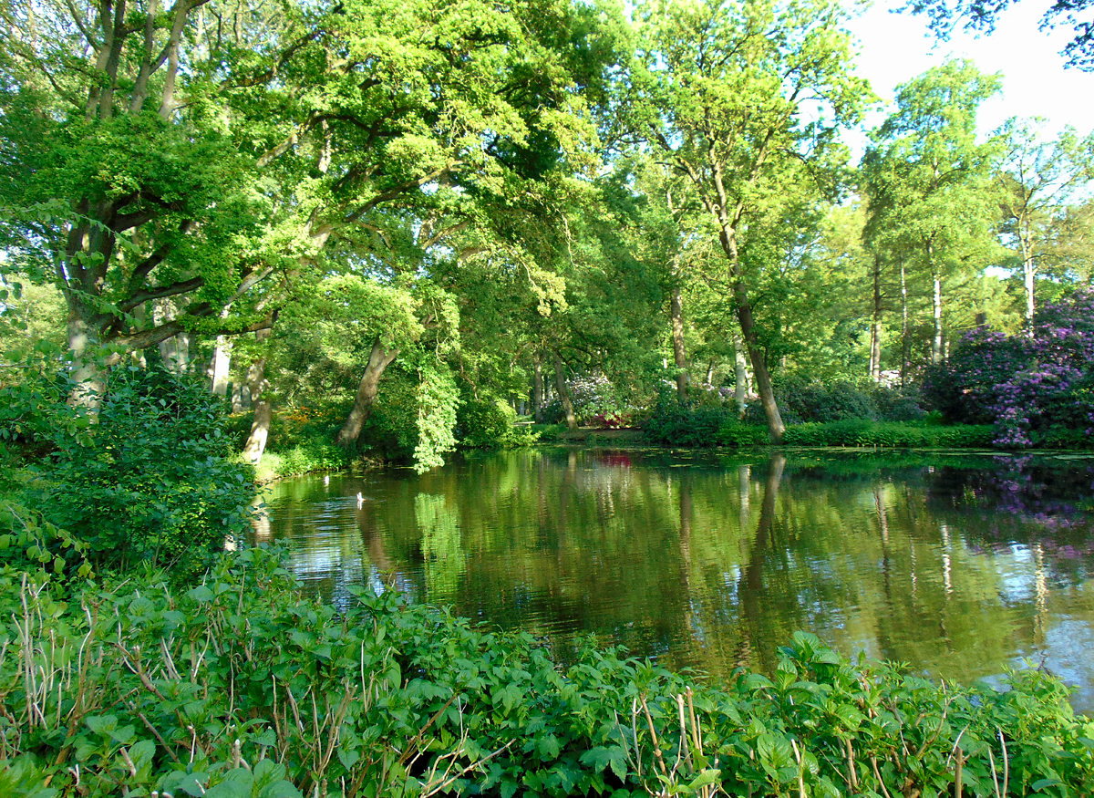 109-Rhodowald_Wasserlauf.jpg