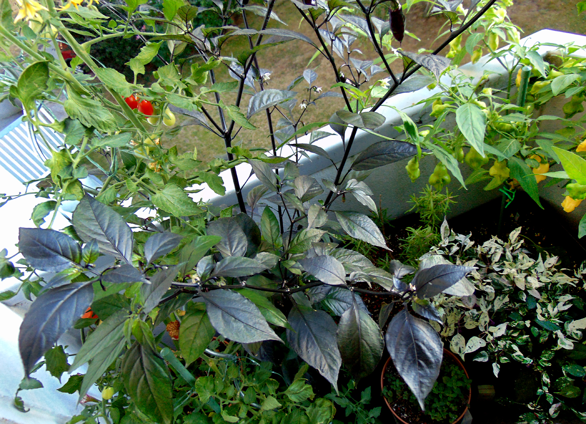 11092022_PdN_I.jpg