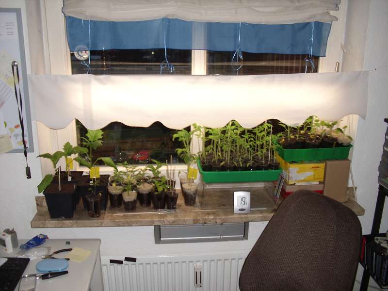 13-03-Fenster-Arbeitszimmer.jpg