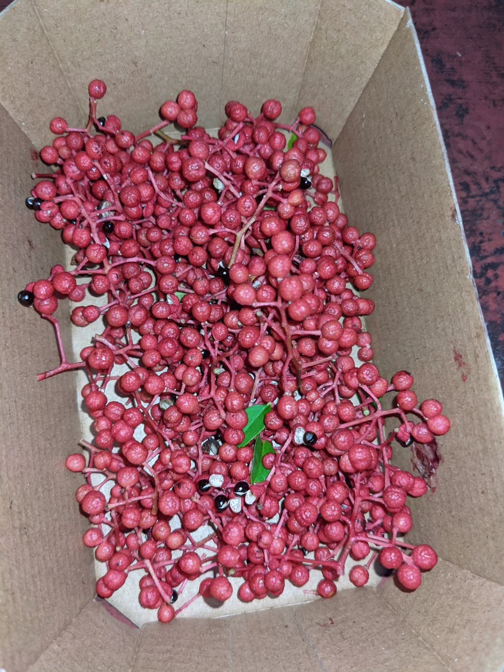 135 - Szechuan-Pfeffer.jpg