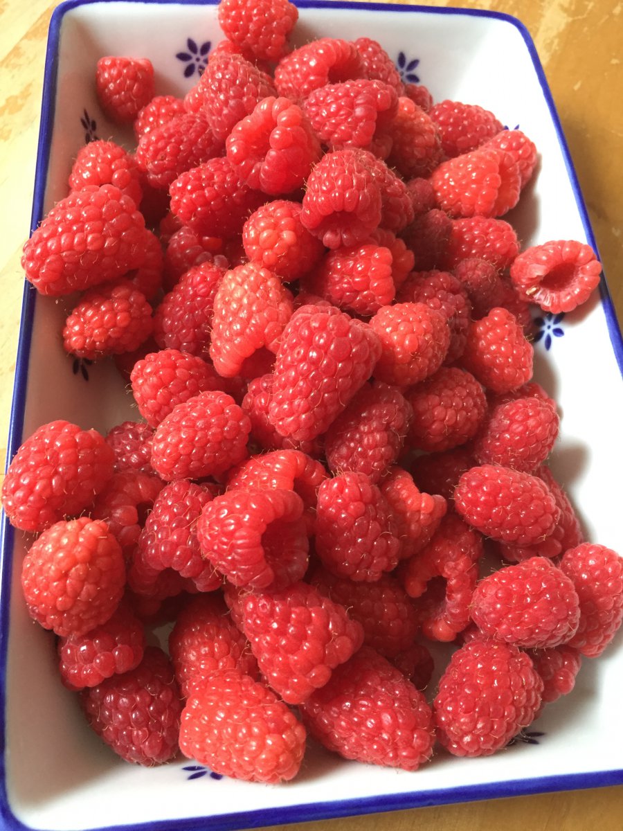 15316E4F-1B7A-4F5E-B625-3B5DEEAA7856.jpeg