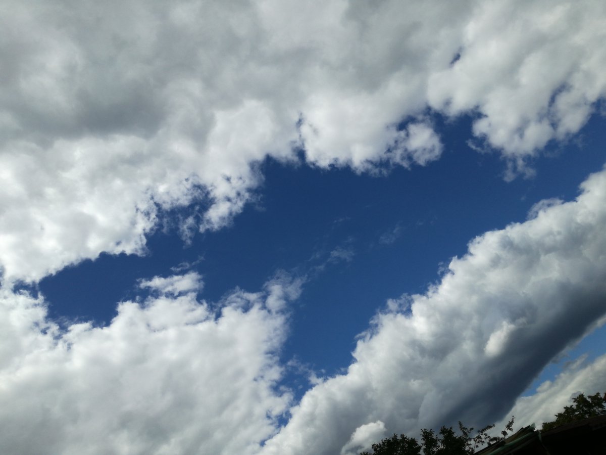 1594557401135506602304.jpg