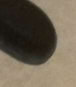 1601150326958.png