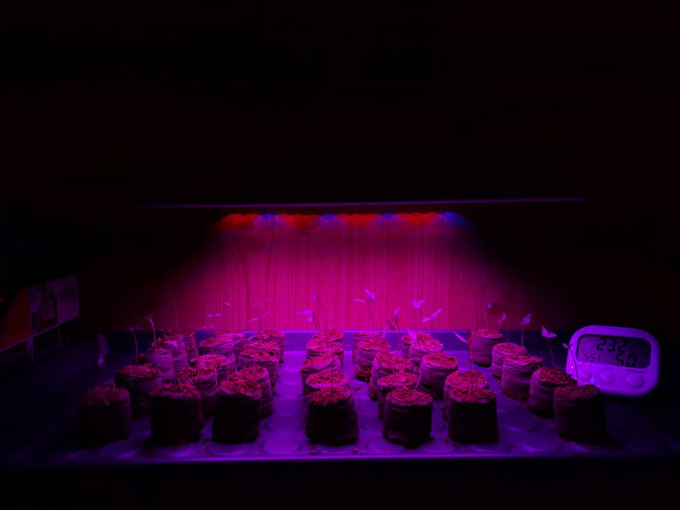 16115035_10212197443670126_7532621655148753019_n.jpg