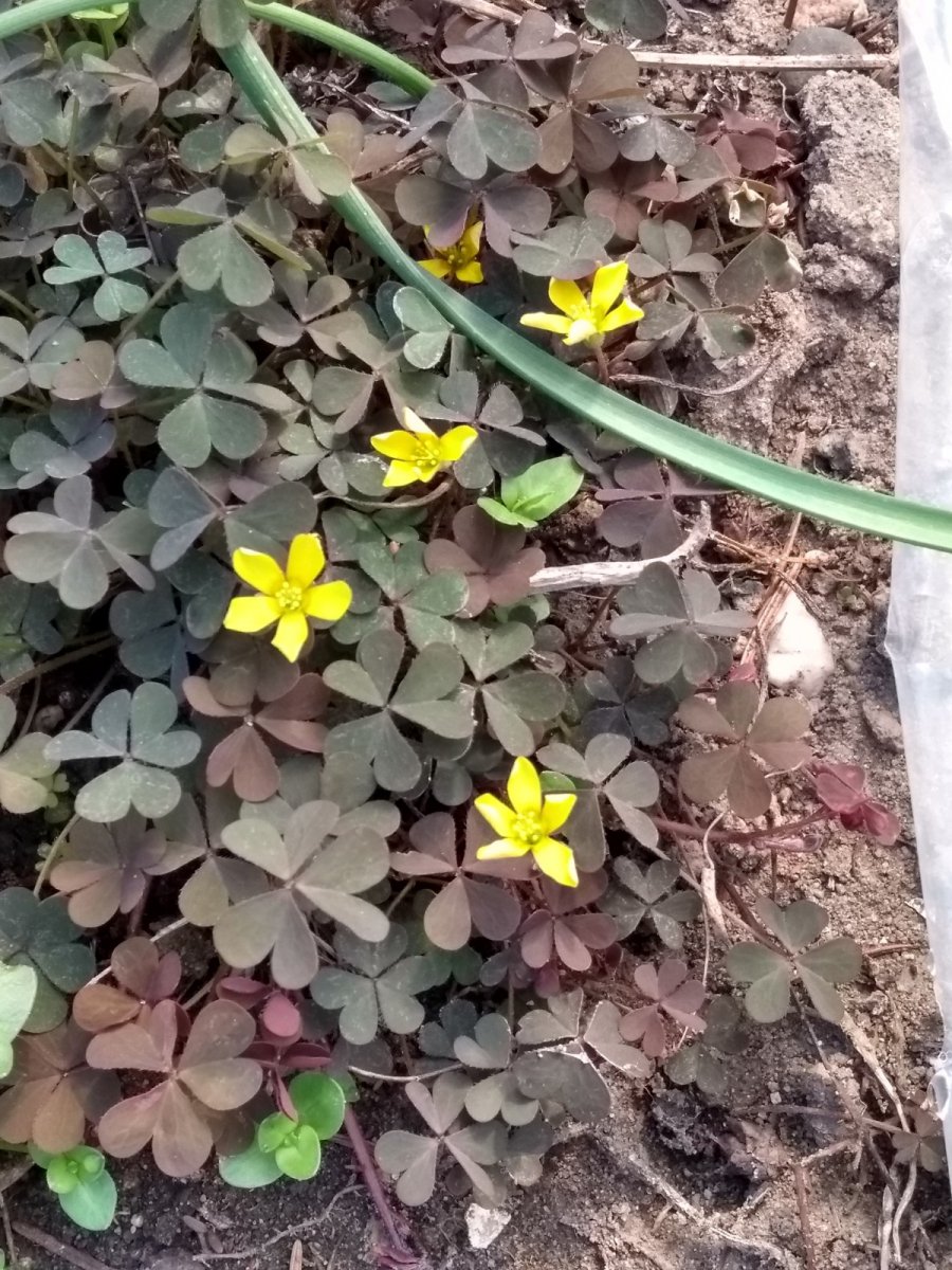 190501012.jpg
