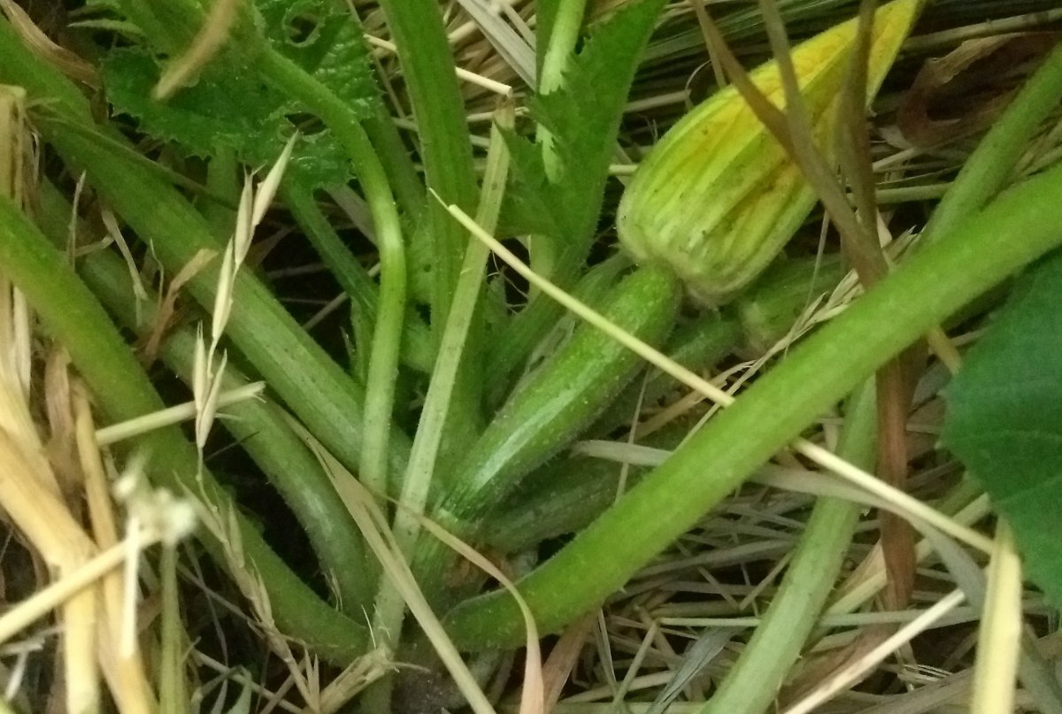 190620005.jpg