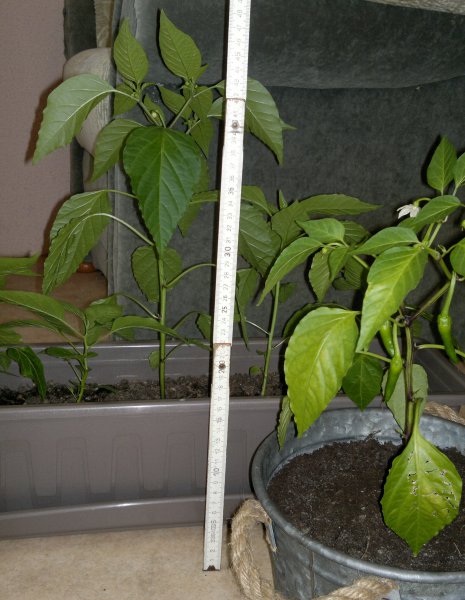 2012-09-13-689.jpg