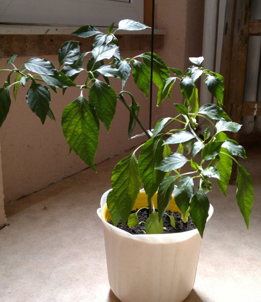 2012-10-23-738.jpg
