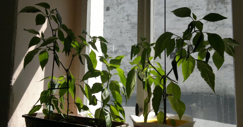 2012-10-23-739.jpg