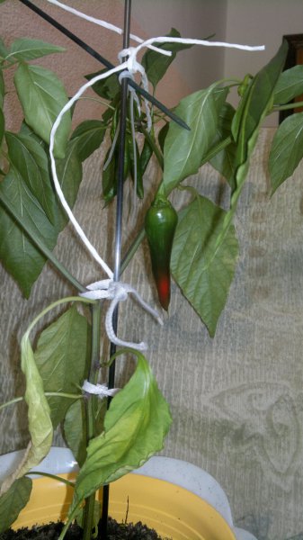 2012-10-29-757.jpg