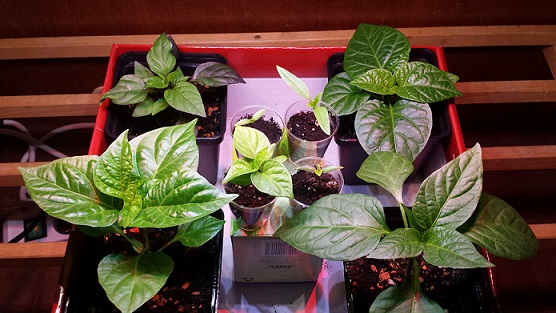20140127_164337.jpg