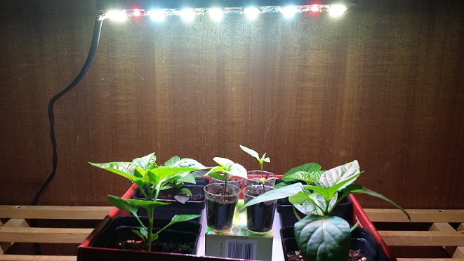 20140127_164347.jpg