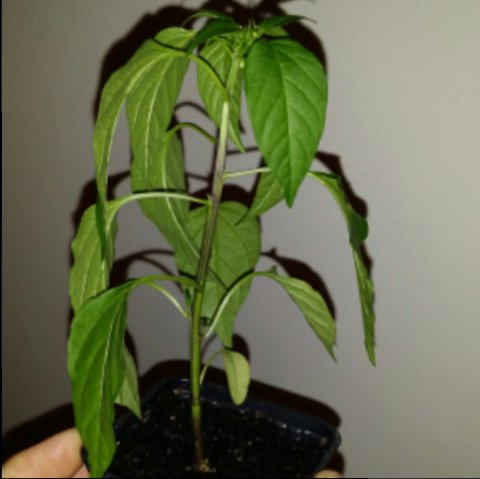 2014032420375700.jpg