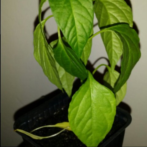 2014032420382100.jpg
