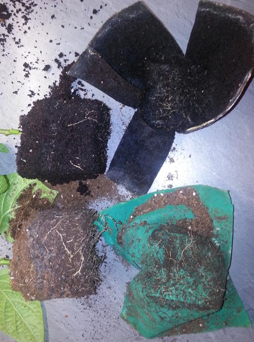 20141130_082704-Hortipot-Stoff-+-Einkaufstasche-klein.jpg