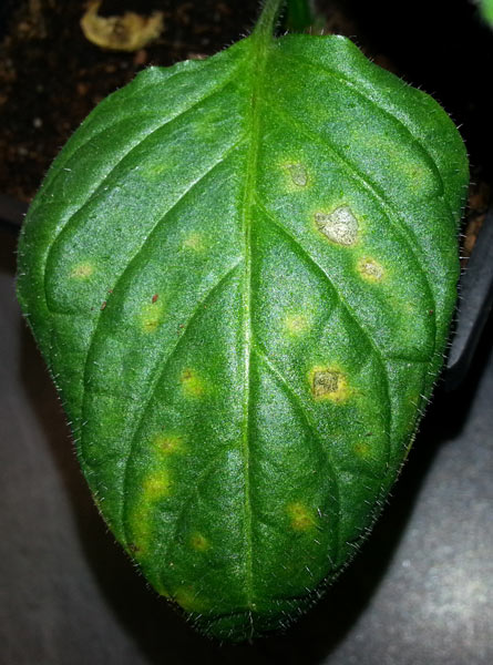 20150223_100414-klein.jpg