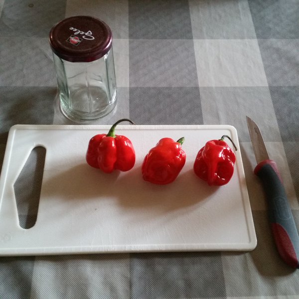 20150906_114531.jpg