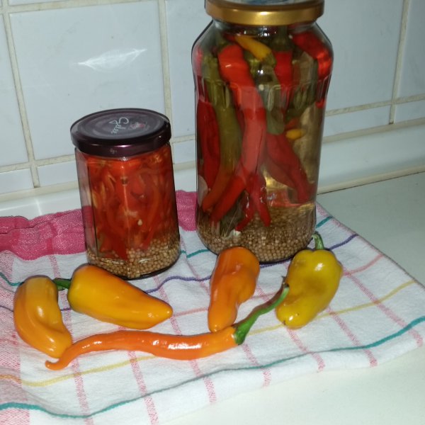 20150906_183320.jpg