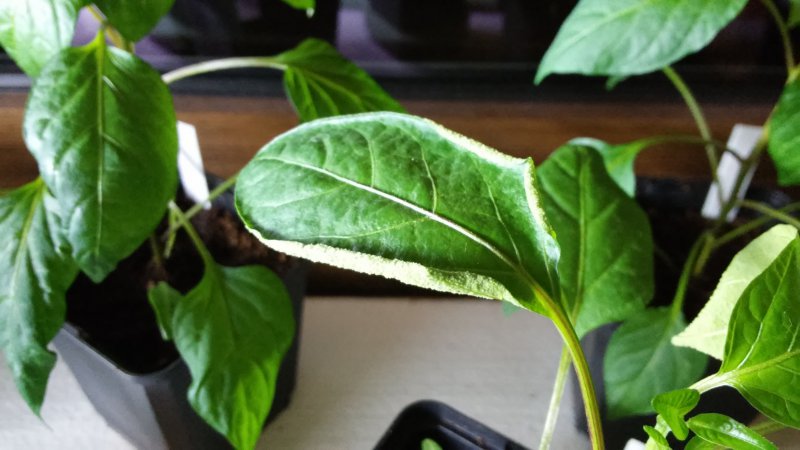 20160321_210759.jpg