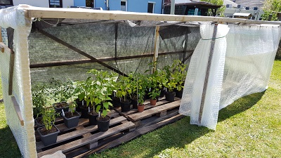 20160508_140103-10.jpg