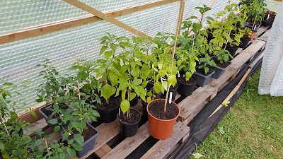 20160517_172951-1.jpg