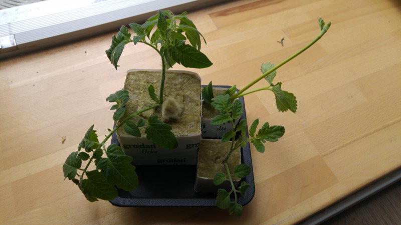 20160527_145114.jpg
