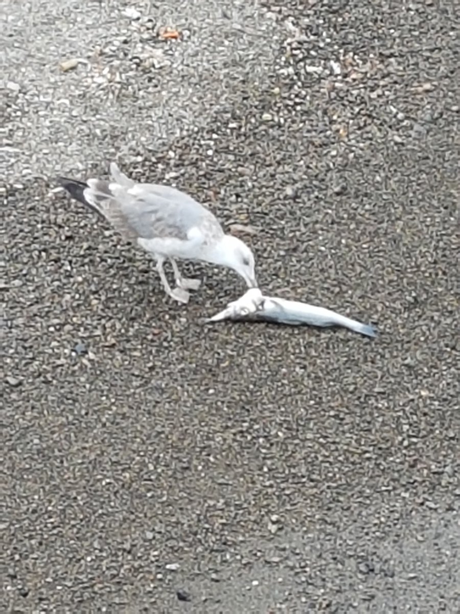 20160912_091656.jpg