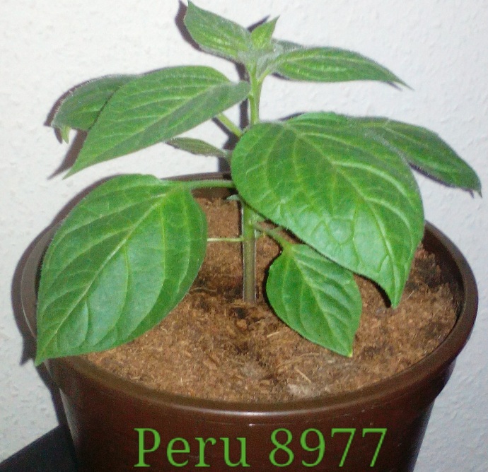 2017-11-26-14-42-37.jpg