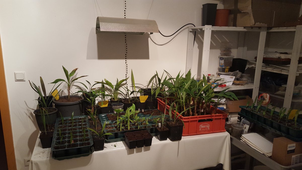 20170111_072214.jpg