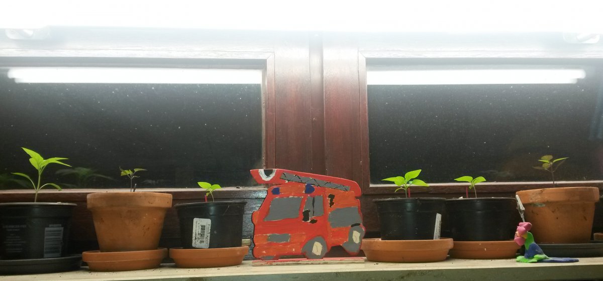 20170226_200849.jpg