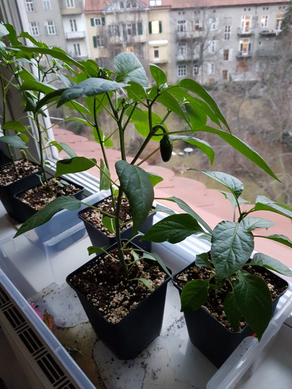 20170228_173339.jpg