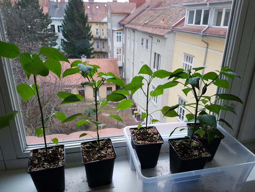20170228_195854.jpg
