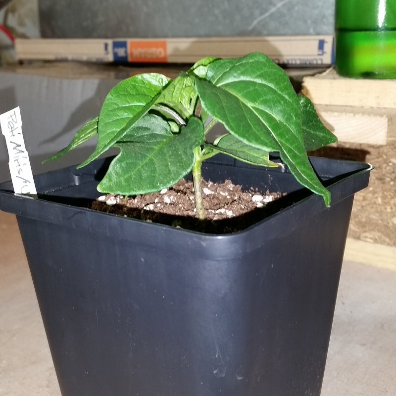20170303_190257.jpg