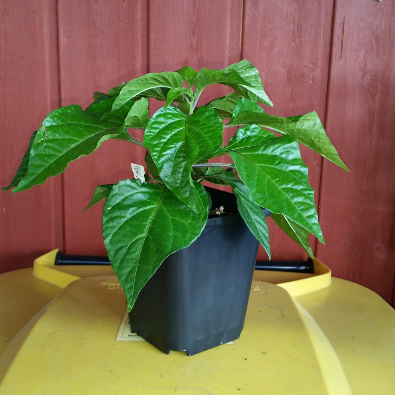 20170402_153050.jpg